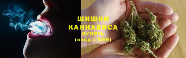 твердый Магас
