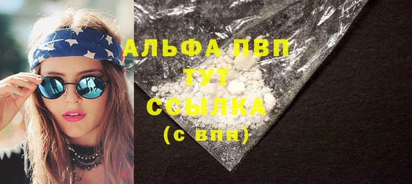 сатива Тольятти