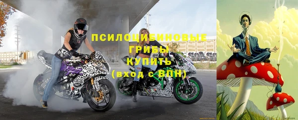 дурь Алексеевка